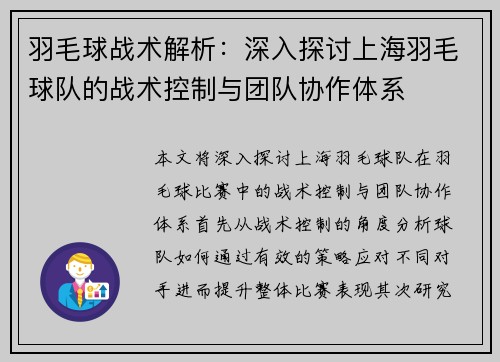 羽毛球战术解析：深入探讨上海羽毛球队的战术控制与团队协作体系